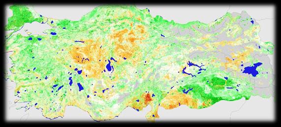 uydu görüntülerinden elde edilen NDVI (vejetasyon indeksi)
