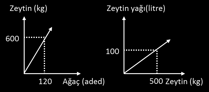 21. Aşağıdaki doğrusal grafiklerden birincisinde ağaç sayısına göre kg cinsinden elde edilen zeytin miktarı, ikincisinde ise zeytinden elde edilen zeytin yağının miktarı verilmiştir. 24.