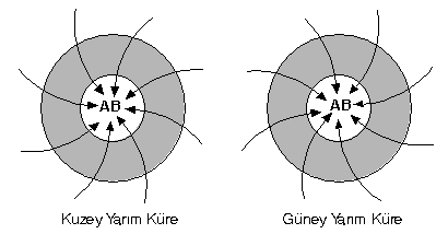 Bundan dolayı, rüzgârların hızı, sürtünmenin azaldığı düz ve açık alanlarda fazladır. Rüzgârın yönünü etkileyen faktörler a.