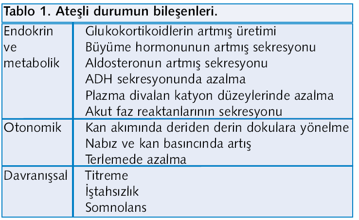 Hiperterminin değerlendirmesini yaparken ilk önce bunun enfeksiyöz bir sebebi mi yoksa enfeksiyon dışı bir sebebi mi olduğunu araştırmak gerekir.