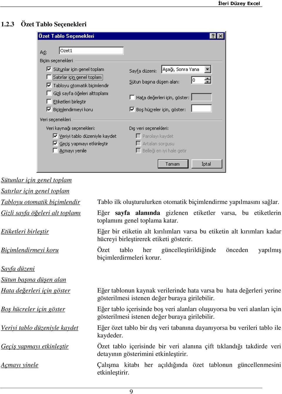 Eğer bir etiketin alt kırılımları varsa bu etiketin alt kırımları kadar hücreyi birleştirerek etiketi gösterir.