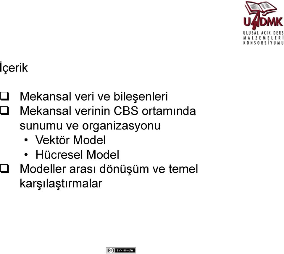 ve Vektör Model Hücresel Model