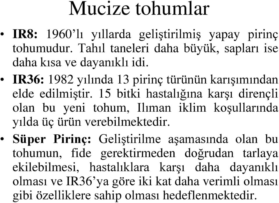 15 bitki hastalığına karşı dirençli olan bu yeni tohum, Ilıman iklim koşullarında yılda üç ürün verebilmektedir.