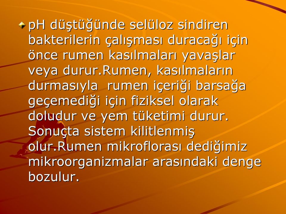 rumen, kasılmaların durmasıyla rumen içeriği barsağa geçemediği için fiziksel