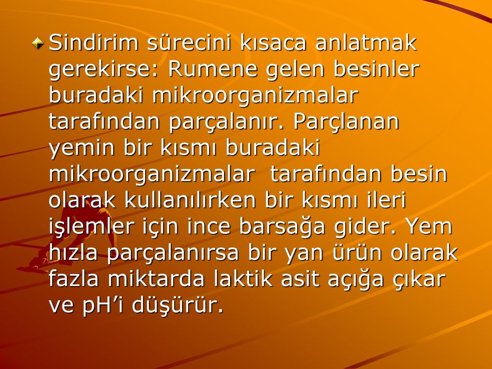 Parçlanan yemin bir kısmı buradaki mikroorganizmalar tarafından besin olarak