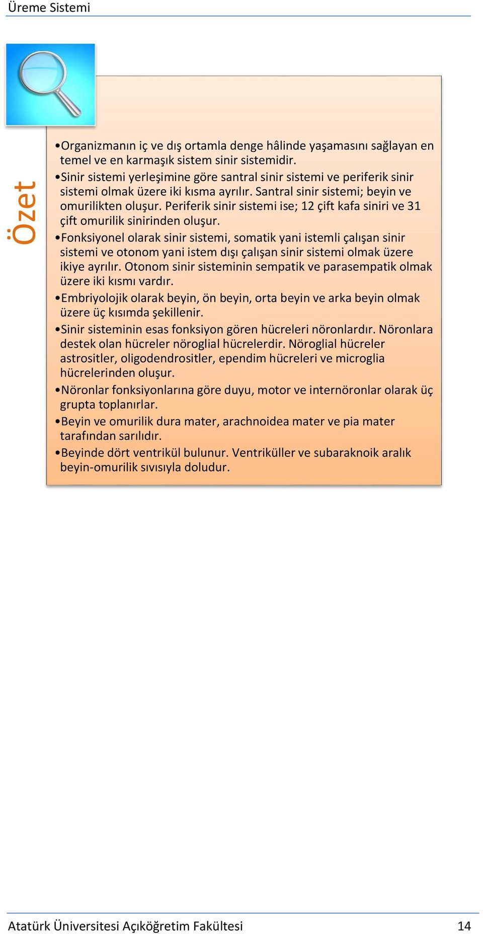 Periferik sinir sistemi ise; 12 çift kafa siniri ve 31 çift omurilik sinirinden oluşur.