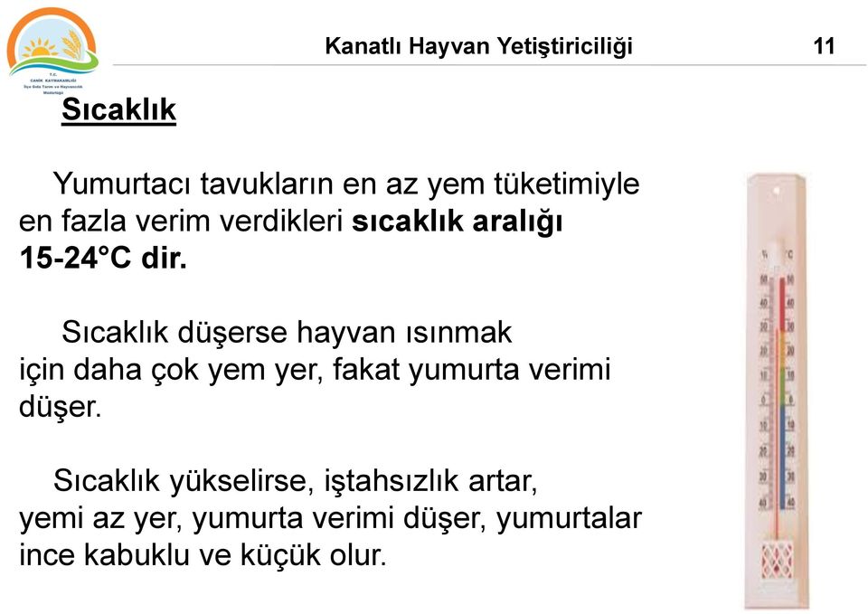 Sıcaklık düşerse hayvan ısınmak için daha çok yem yer, fakat yumurta verimi düşer.