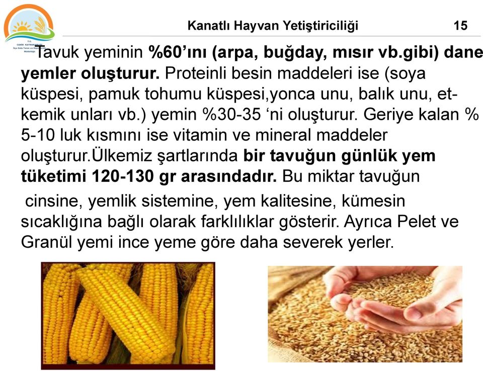 Geriye kalan % 5-10 luk kısmını ise vitamin ve mineral maddeler oluşturur.