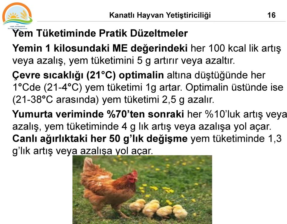 Çevre sıcaklığı (21 C) optimalin altına düştüğünde her 1 Cde (21-4 C) yem tüketimi 1g artar.