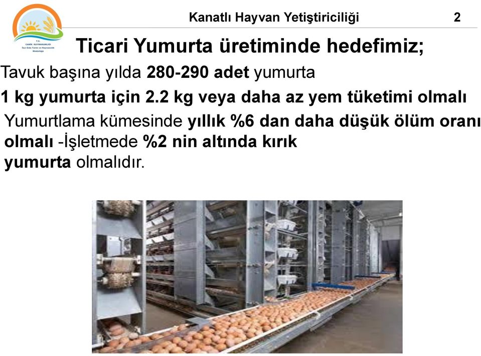 2 kg veya daha az yem tüketimi olmalı Yumurtlama kümesinde yıllık %6