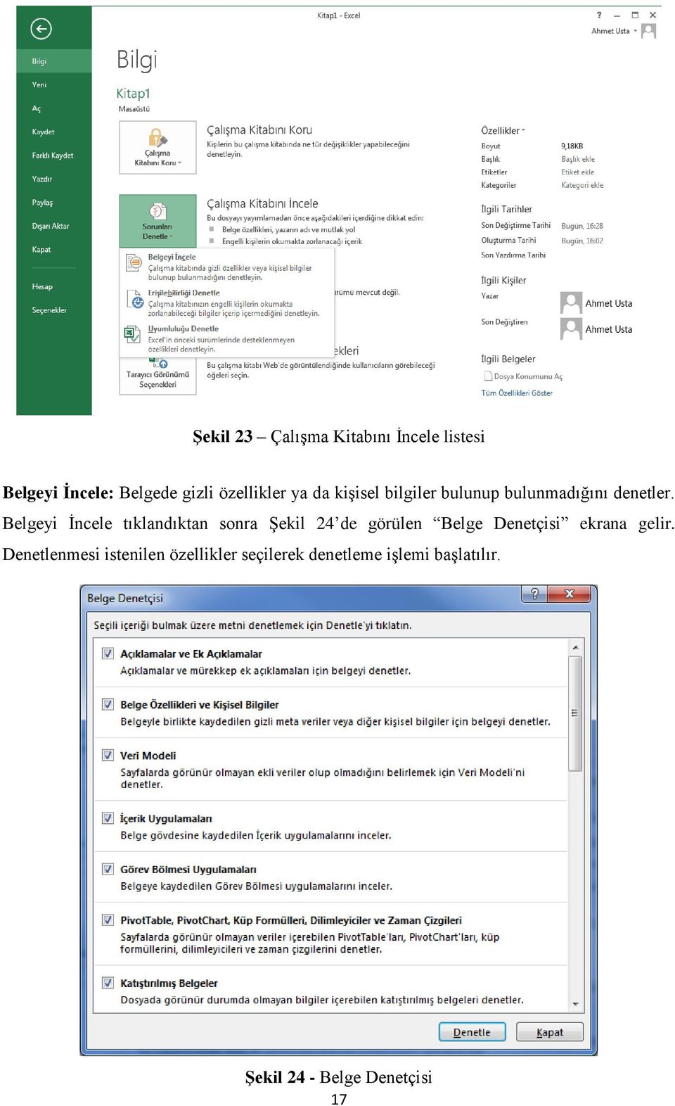 Belgeyi İncele tıklandıktan sonra Şekil 24 de görülen Belge Denetçisi ekrana