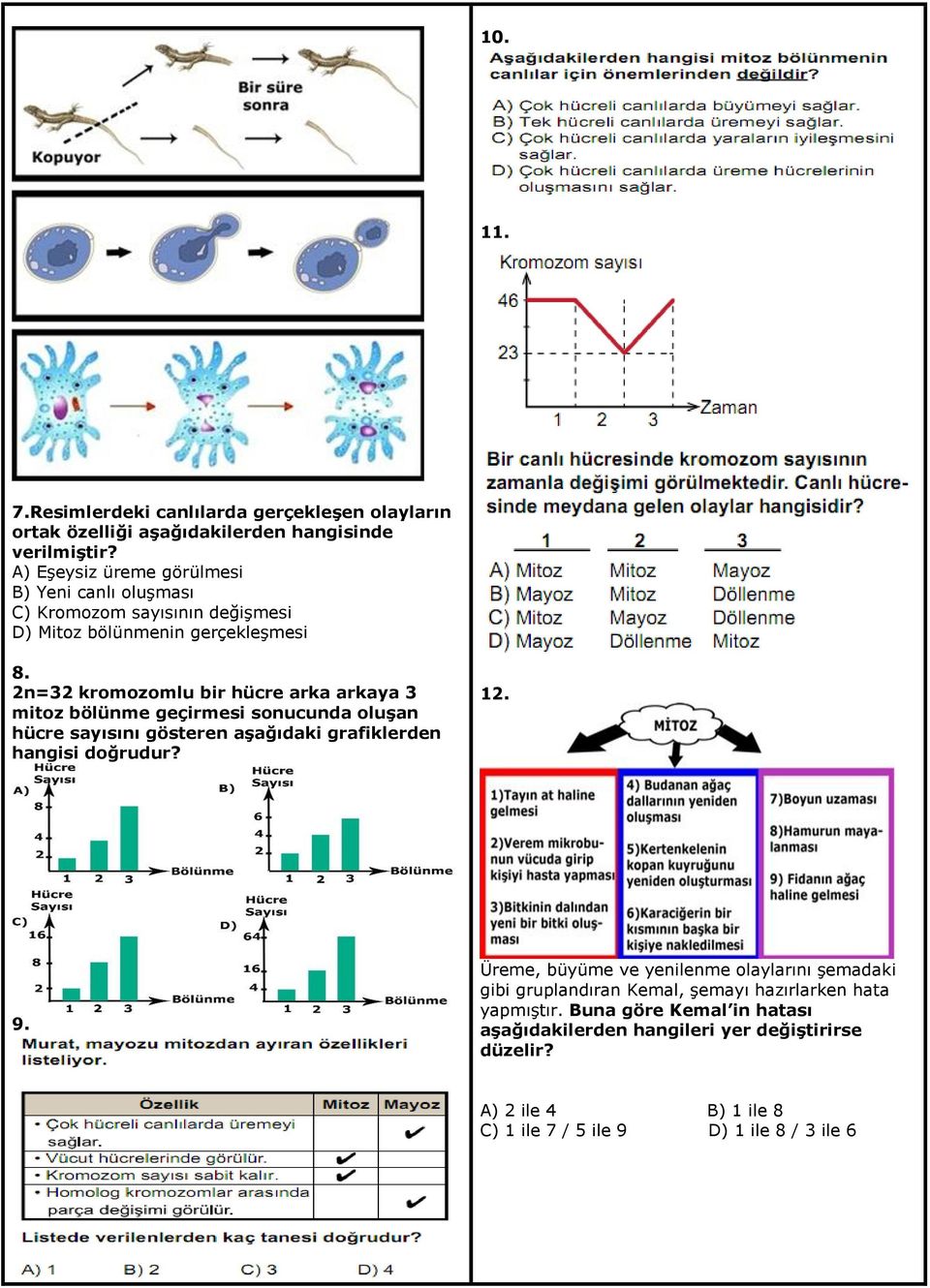 2n=32 kromozomlu bir hücre arka arkaya 3 mitoz bölünme geçirmesi sonucunda oluşan hücre sayısını gösteren aşağıdaki grafiklerden hangisi doğrudur? 12. 9.