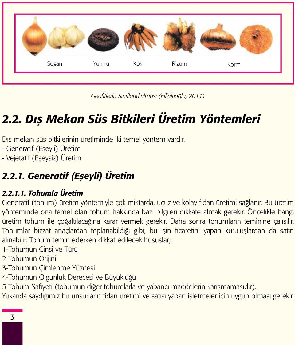 Bu üretim yönteminde ona temel olan tohum hakkında bazı bilgileri dikkate almak gerekir. Öncelikle hangi üretim tohum ile çoğaltılacağına karar vermek gerekir.