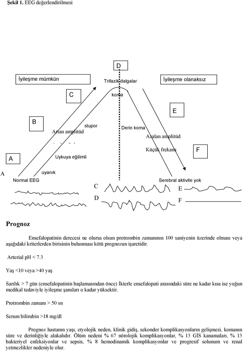 C D Serebral aktivite yok E F Prognoz Ensefalopatinin derecesi ne olursa olsun protrombin zamanının 100 saniyenin üzerinde olması veya aşağıdaki kriterlerden birisinin bulunması kötü prognozun