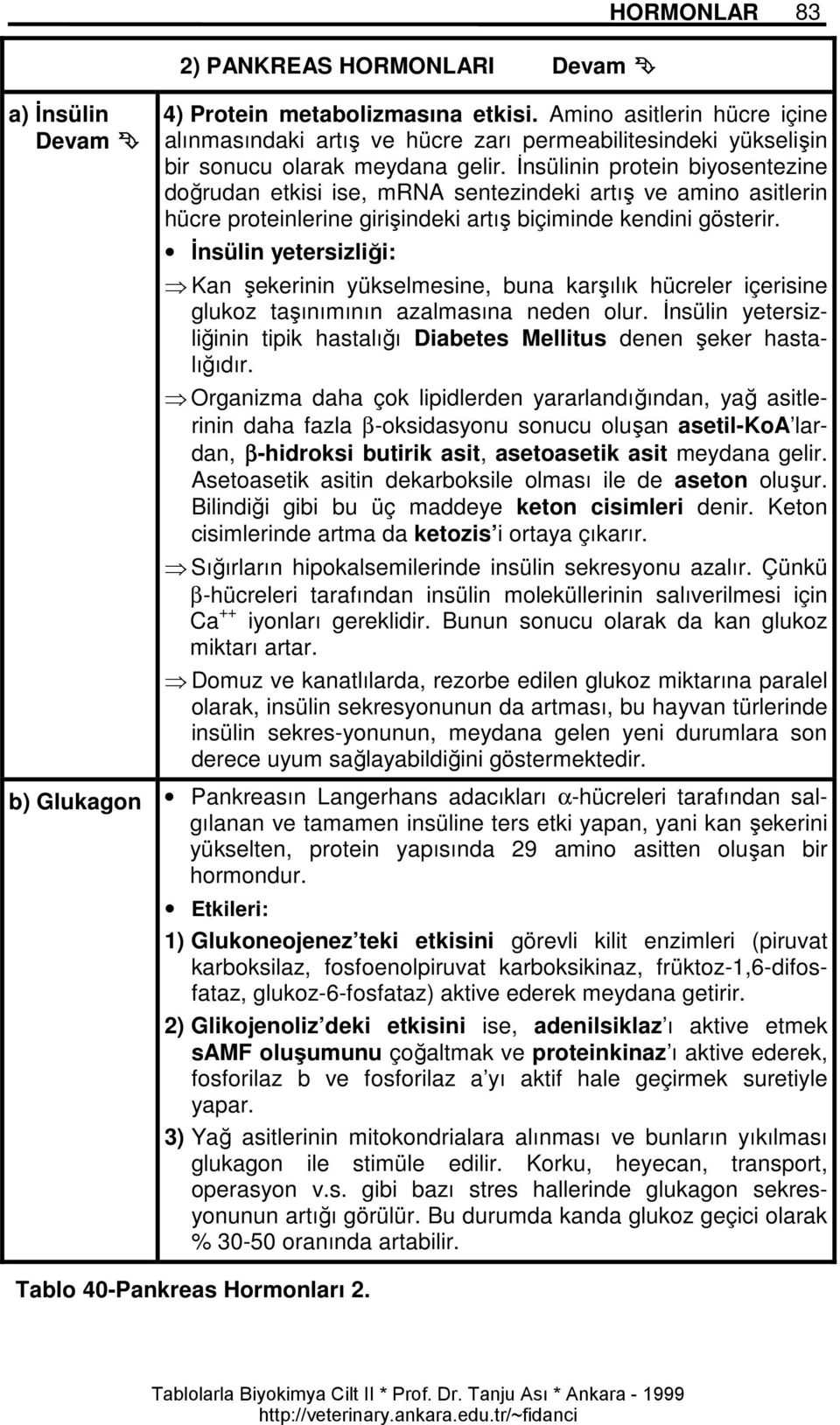 İnsülinin protein biyosentezine doğrudan etkisi ise, mrna sentezindeki artış ve amino asitlerin hücre proteinlerine girişindeki artış biçiminde kendini gösterir.