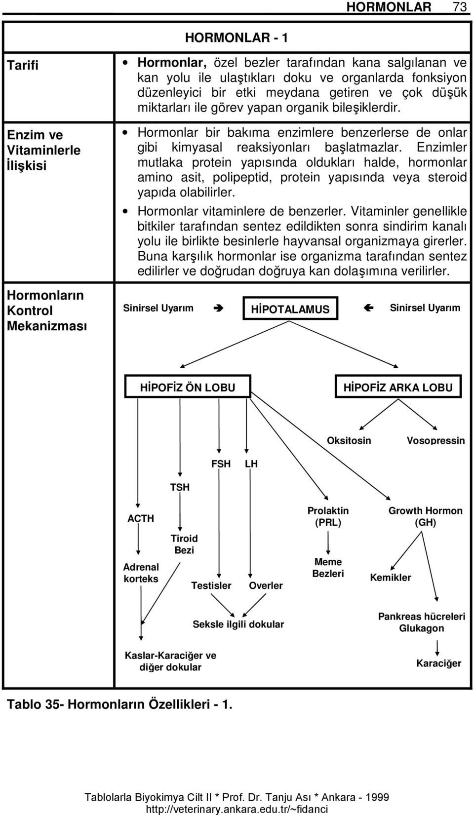 Enzimler mutlaka protein yapısında oldukları halde, hormonlar amino asit, polipeptid, protein yapısında veya steroid yapıda olabilirler. Hormonlar vitaminlere de benzerler.