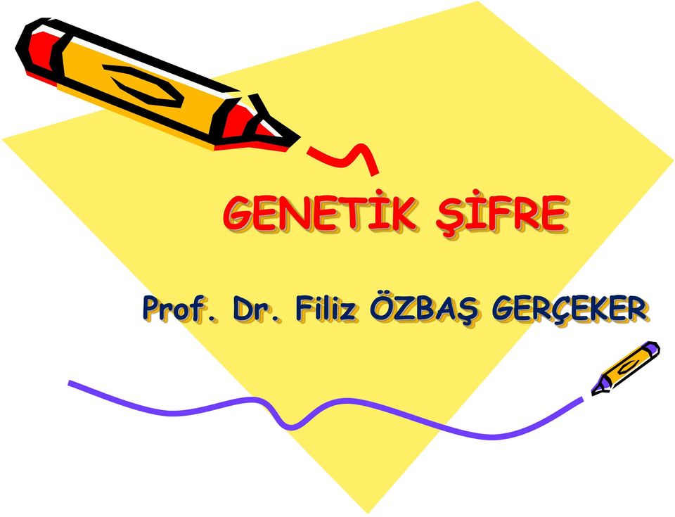 Dr. Filiz