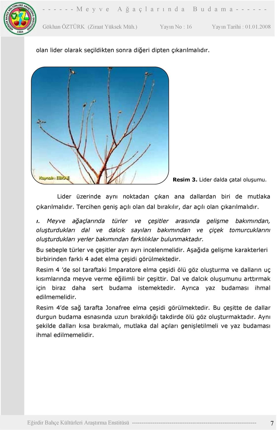 Meyve ağaçlarında türler ve çeşitler arasında gelişme bakımından, oluşturdukları dal ve dalcık sayıları bakımından ve çiçek tomurcuklarını oluşturdukları yerler bakımından farklılıklar bulunmaktadır.