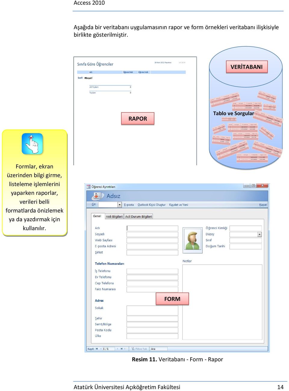 VERİTABANI RAPOR Tablo ve Sorgular Formlar, ekran üzerinden bilgi girme, listeleme işlemlerini