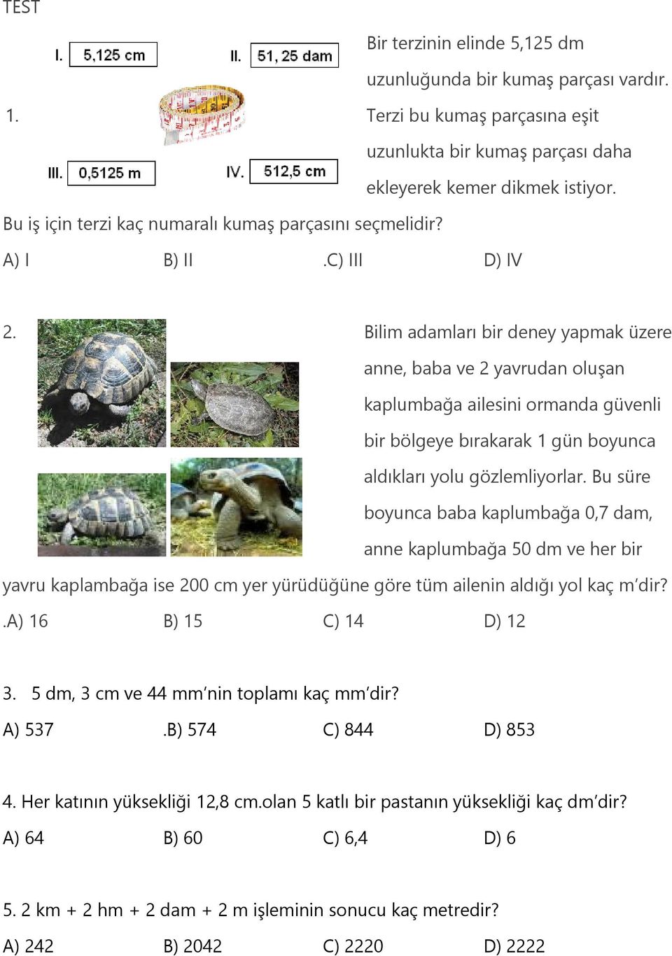 Bilim adamları bir deney yapmak üzere anne, baba ve 2 yavrudan oluşan kaplumbağa ailesini ormanda güvenli bir bölgeye bırakarak 1 gün boyunca aldıkları yolu gözlemliyorlar.