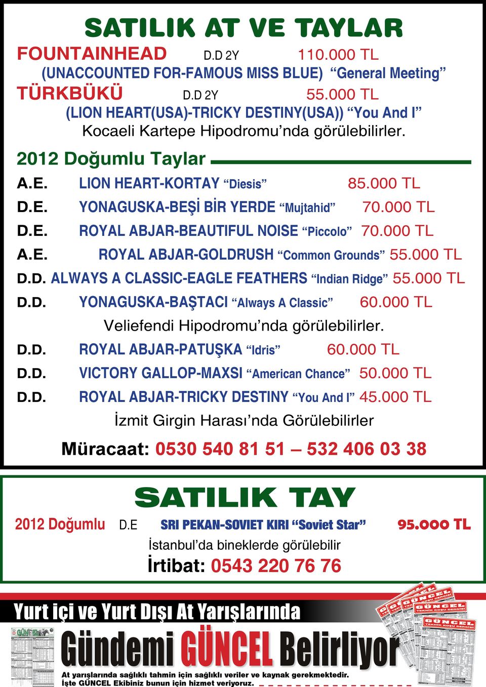 E. LION HEART-KORTAY Diesis 85.000 TL D.E. YONAGUSKA-BEŞİ BİR YERDE Mujtahid 70.000 TL D.E. A.E. ROYAL ABJAR-BEAUTIFUL NOISE Piccolo 70.000 TL ROYAL ABJAR-GOLDRUSH Common Grounds 55.000 TL D.D. ALWAYS A CLASSIC-EAGLE FEATHERS Indian Ridge 55.