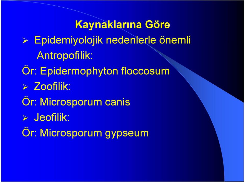 Epidermophyton floccosum Zoofilik: Ör: