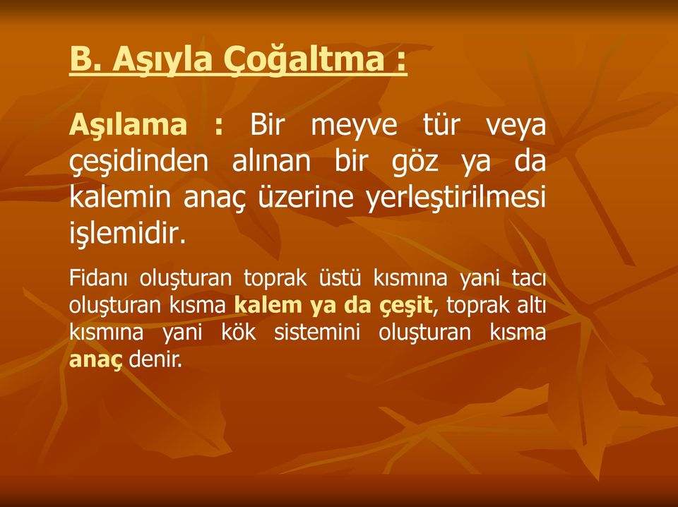 Fidanı oluşturan toprak üstü kısmına yani tacı oluşturan kısma kalem