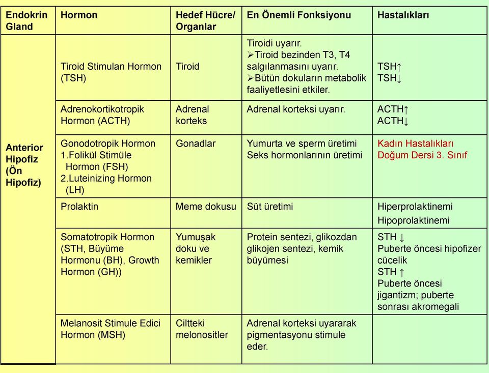Folikül Stimüle Hormon (FSH) 2.Luteinizing Hormon (LH) Gonadlar Yumurta ve sperm üretimi Seks hormonlarının üretimi Kadın Hastalıkları Doğum Dersi 3.