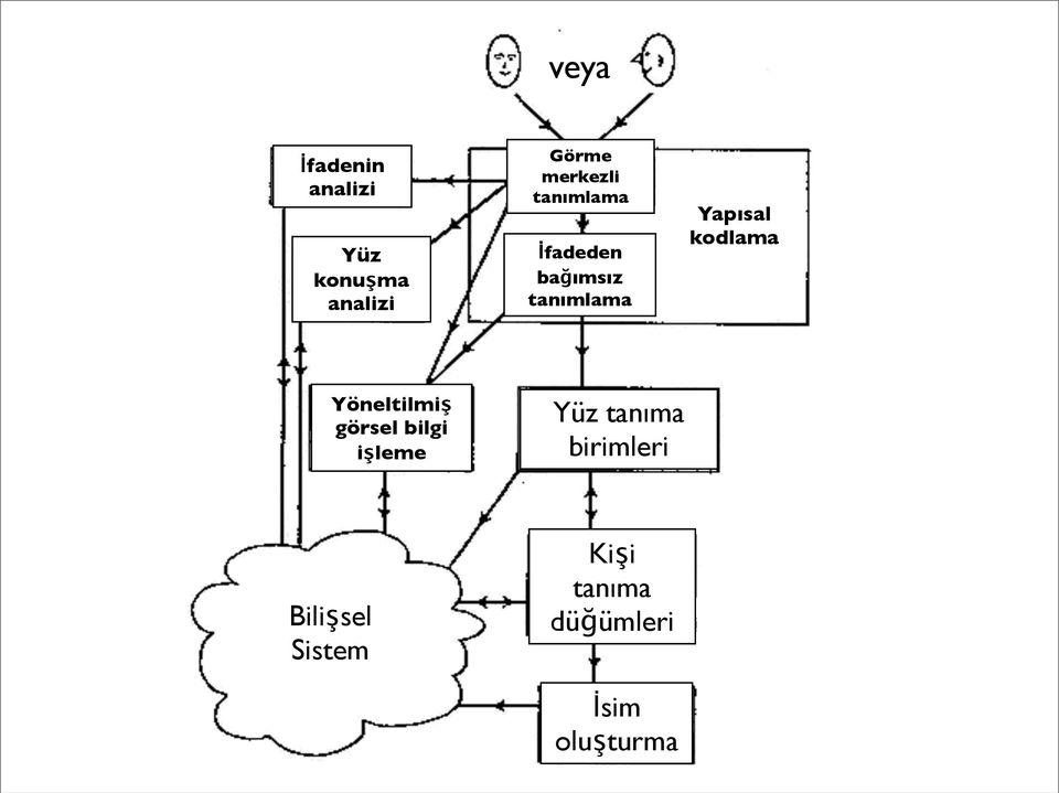 Yapısal kodlama Yöneltilmiş görsel bilgi işleme Yüz