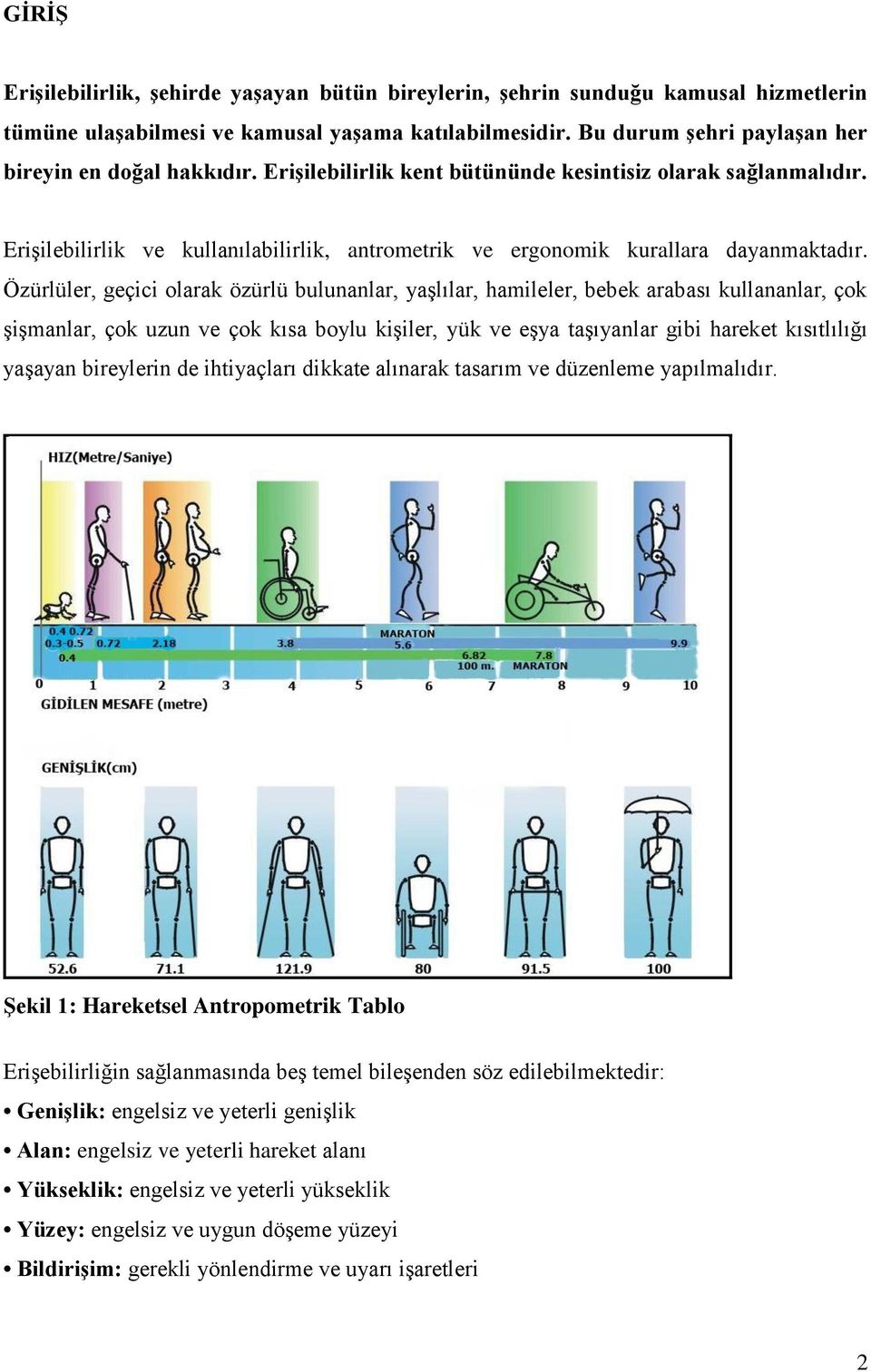 Erişilebilirlik ve kullanılabilirlik, antrometrik ve ergonomik kurallara dayanmaktadır.