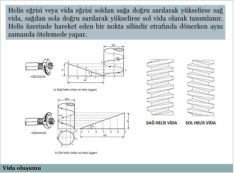 vida olarak tanımlanır.