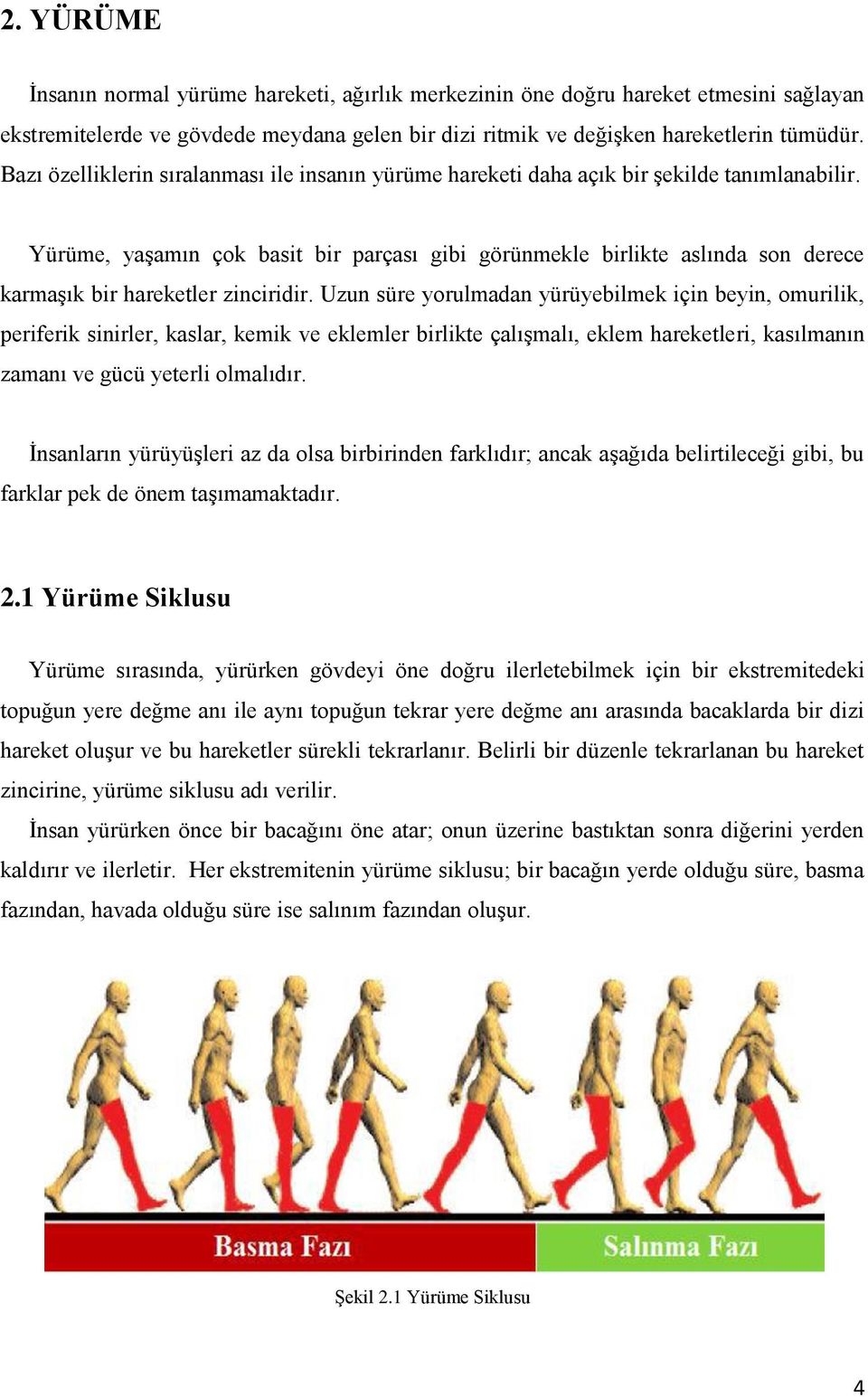 Yürüme, yaģamın çok basit bir parçası gibi görünmekle birlikte aslında son derece karmaģık bir hareketler zinciridir.