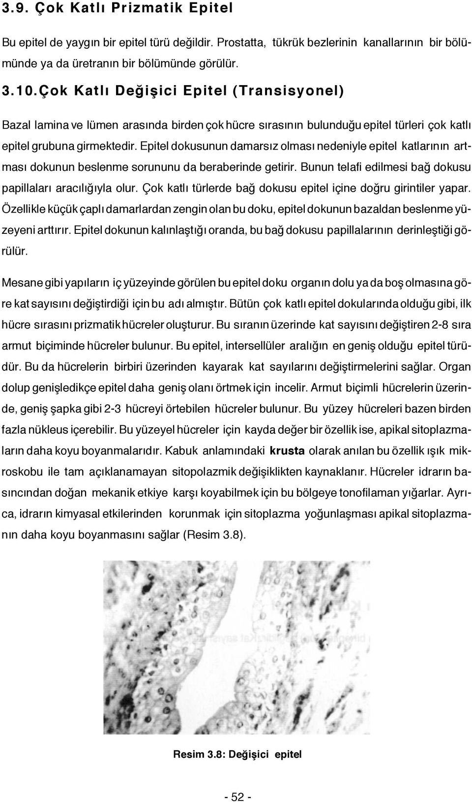 Epitel dokusunun damarsız olması nedeniyle epitel katlarının artması dokunun beslenme sorununu da beraberinde getirir. Bunun telafi edilmesi bağ dokusu papillaları aracılığıyla olur.