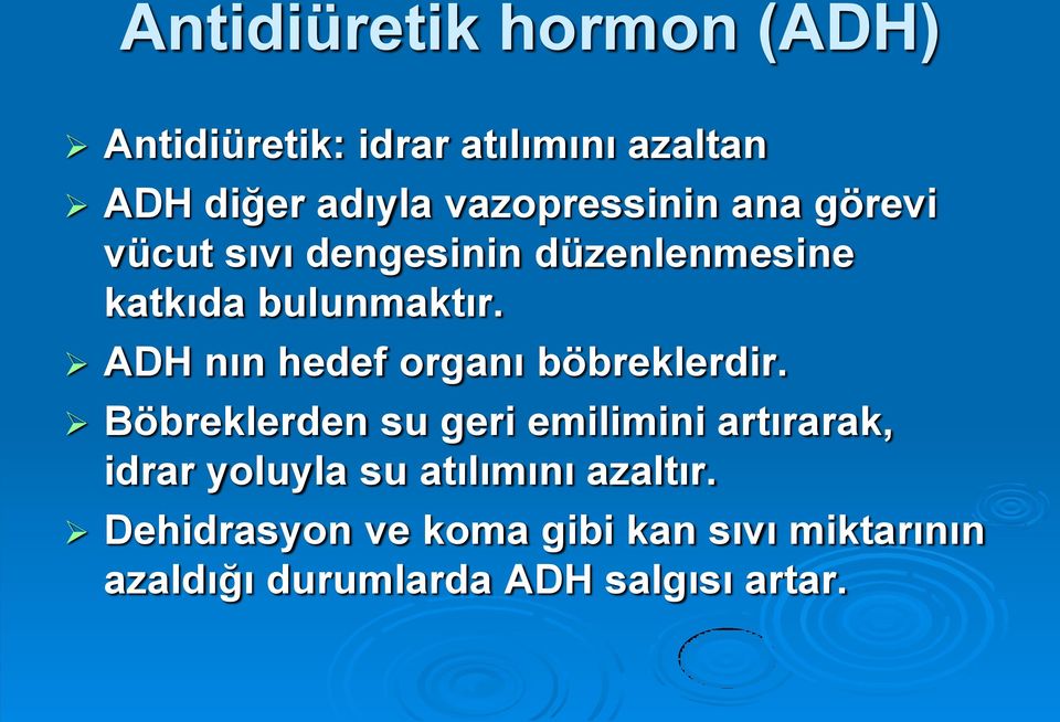 ADH nın hedef organı böbreklerdir.