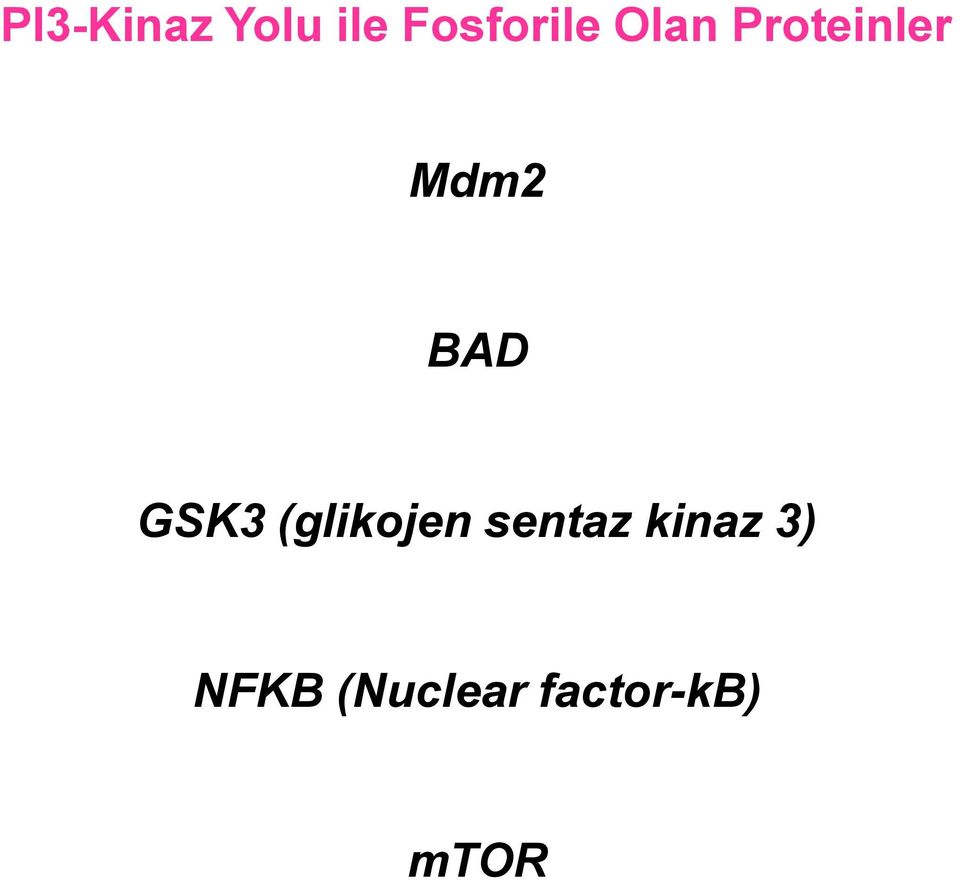 GSK3 (glikojen sentaz kinaz