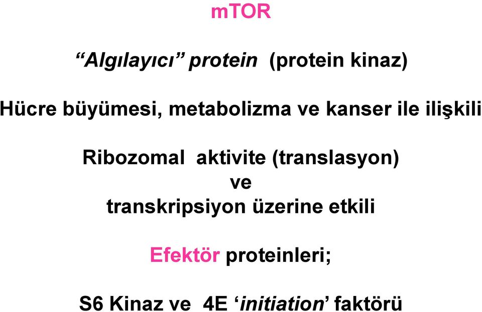 Ribozomal aktivite (translasyon) ve transkripsiyon