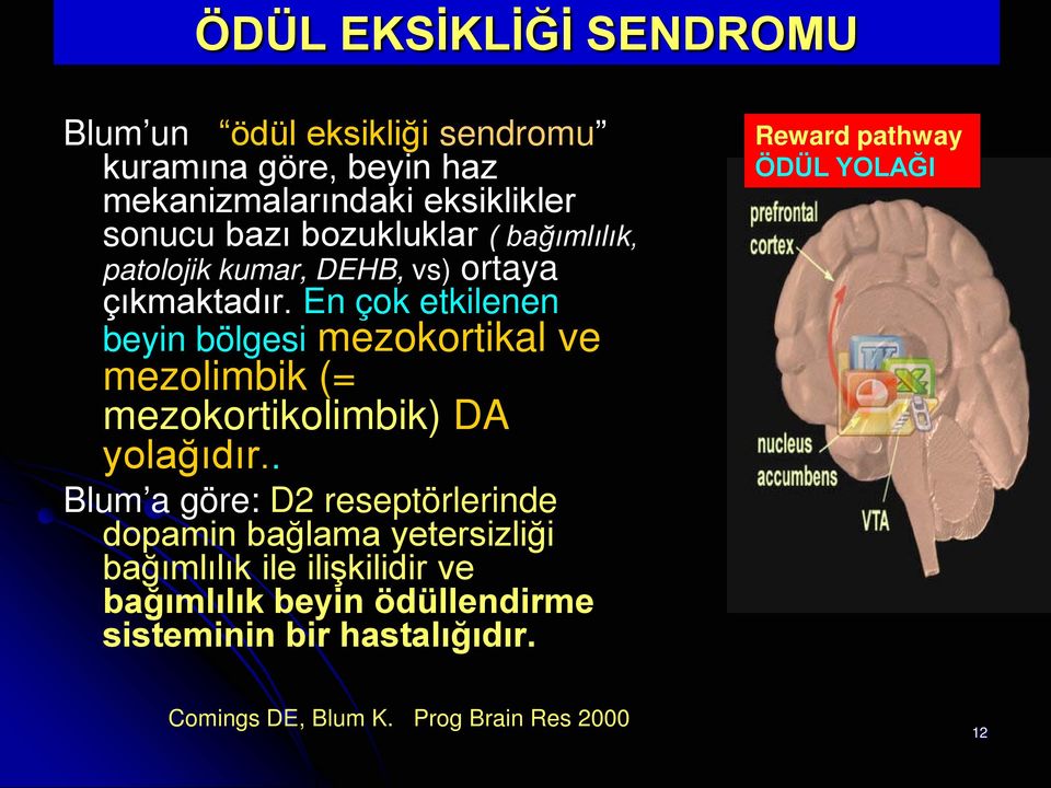 En çok etkilenen beyin bölgesi mezokortikal ve mezolimbik (= mezokortikolimbik) DA yolağıdır.