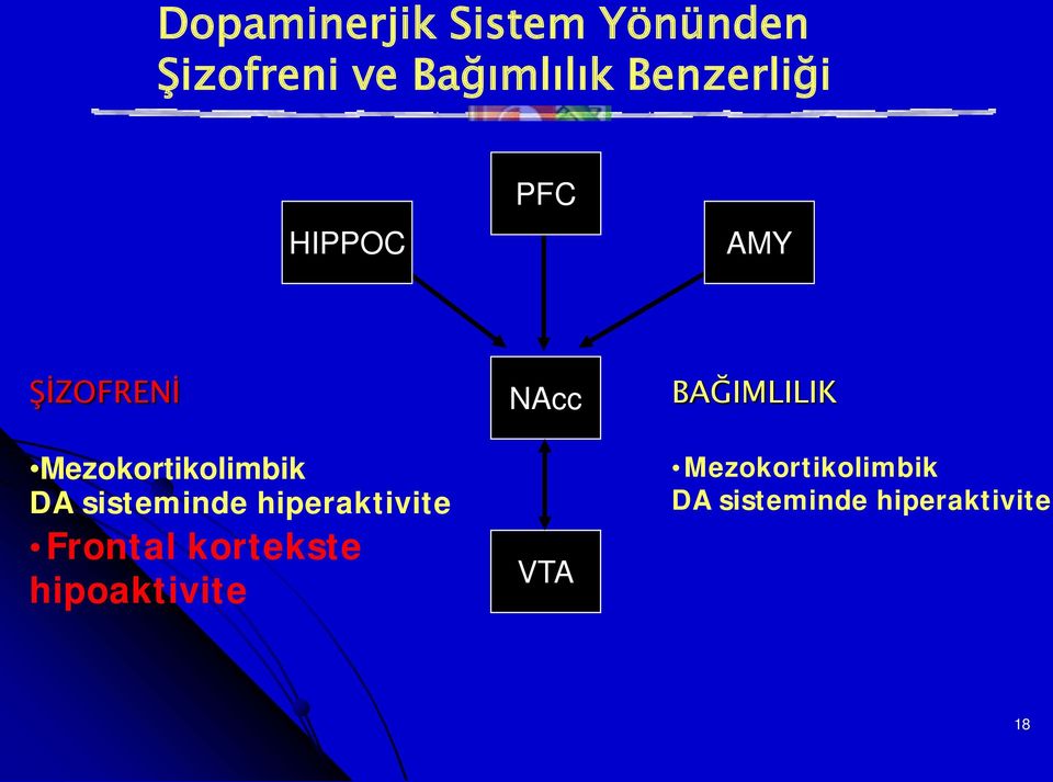 sisteminde hiperaktivite Frontal kortekste hipoaktivite