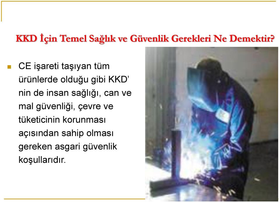 insan sağlığı, can ve mal güvenliği, çevre ve tüketicinin