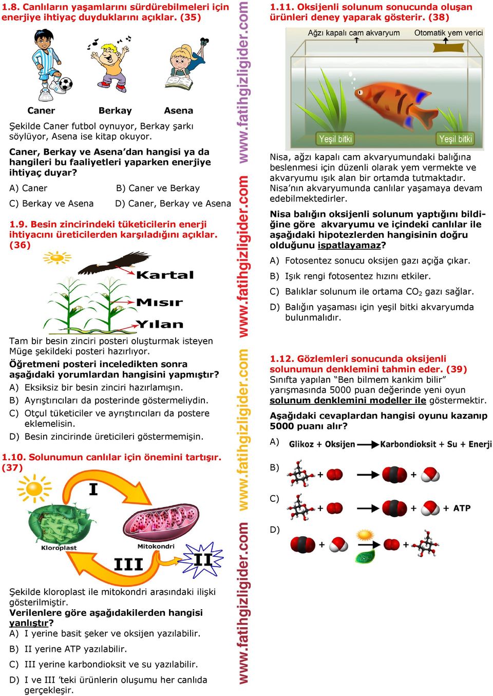 Caner Caner ve Berkay Berkay ve Asena Caner, Berkay ve Asena 1.9. Besin zincirindeki tüketicilerin enerji ihtiyacını üreticilerden karşıladığını açıklar.