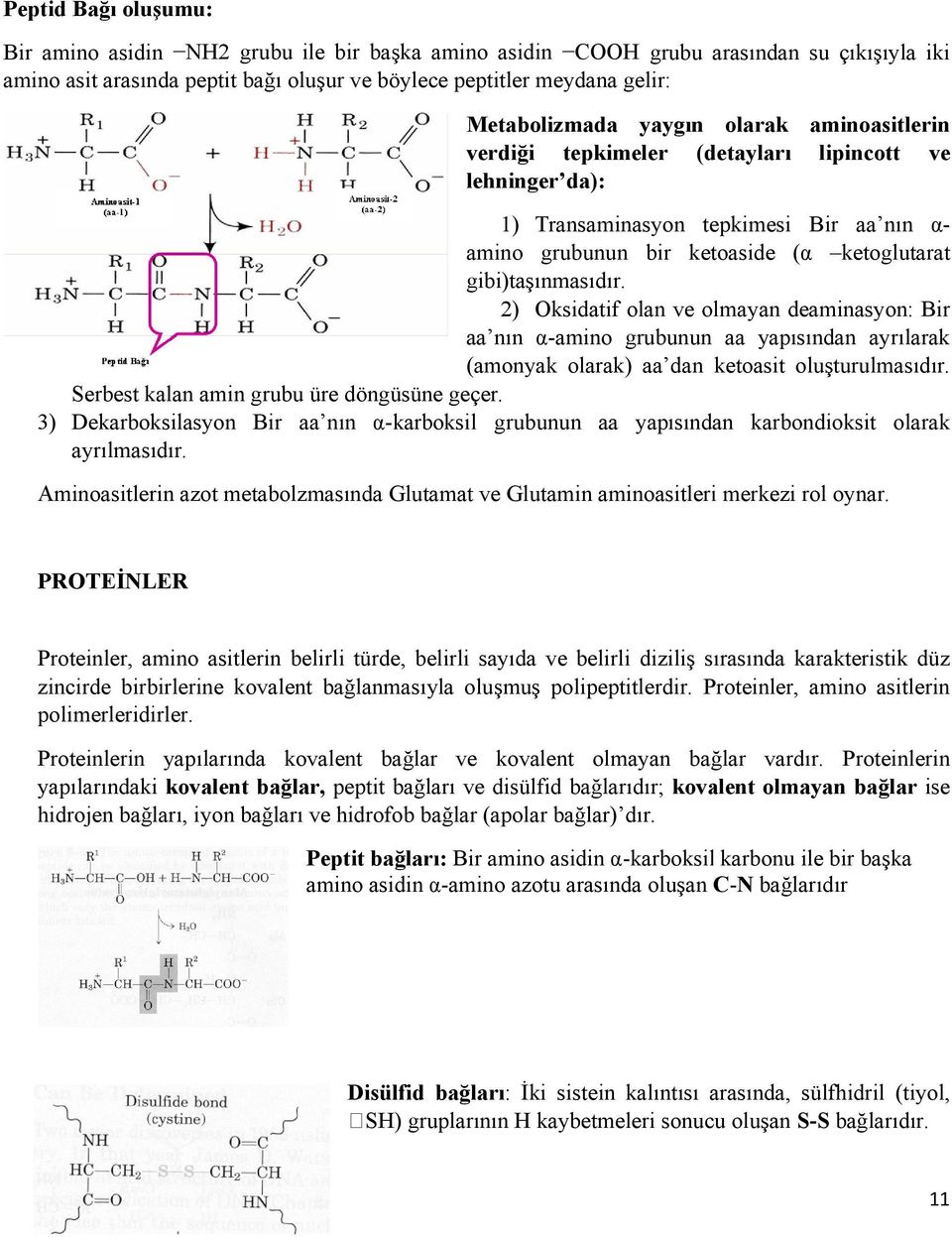 gibi)taşınmasıdır. 2) Oksidatif olan ve olmayan deaminasyon: Bir aa nın α-amino grubunun aa yapısından ayrılarak (amonyak olarak) aa dan ketoasit oluşturulmasıdır.