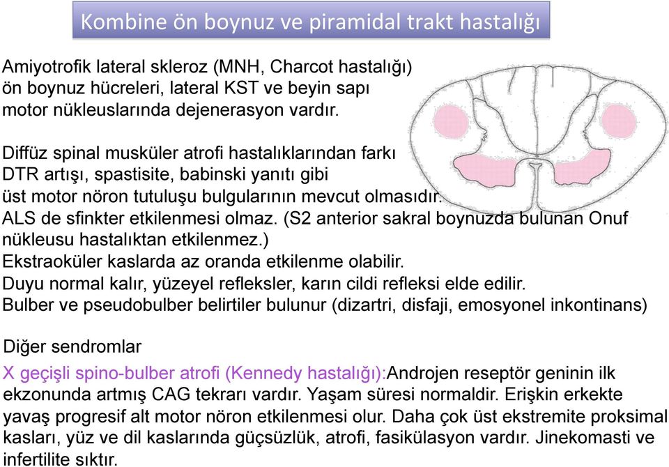 (S2 anterior sakral boynuzda bulunan Onuf nükleusu hastalıktan etkilenmez.) Ekstraoküler kaslarda az oranda etkilenme olabilir. Duyu normal kalır, yüzeyel refleksler, karın cildi refleksi elde edilir.