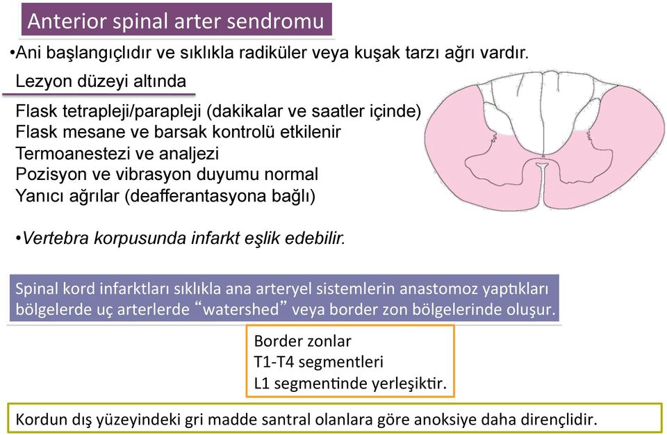 vibrasyon duyumu normal Yanıcı ağrılar (deafferantasyona bağlı) Vertebra korpusunda infarkt eşlik edebilir.