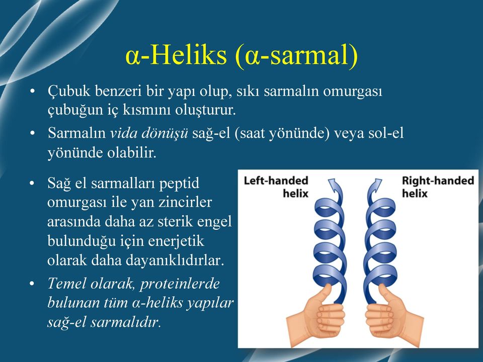 Sağ el sarmalları peptid omurgası ile yan zincirler arasında daha az sterik engel bulunduğu için