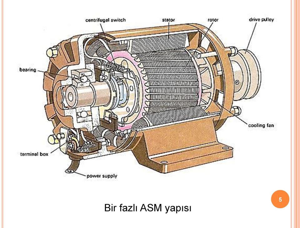 yapısı 5