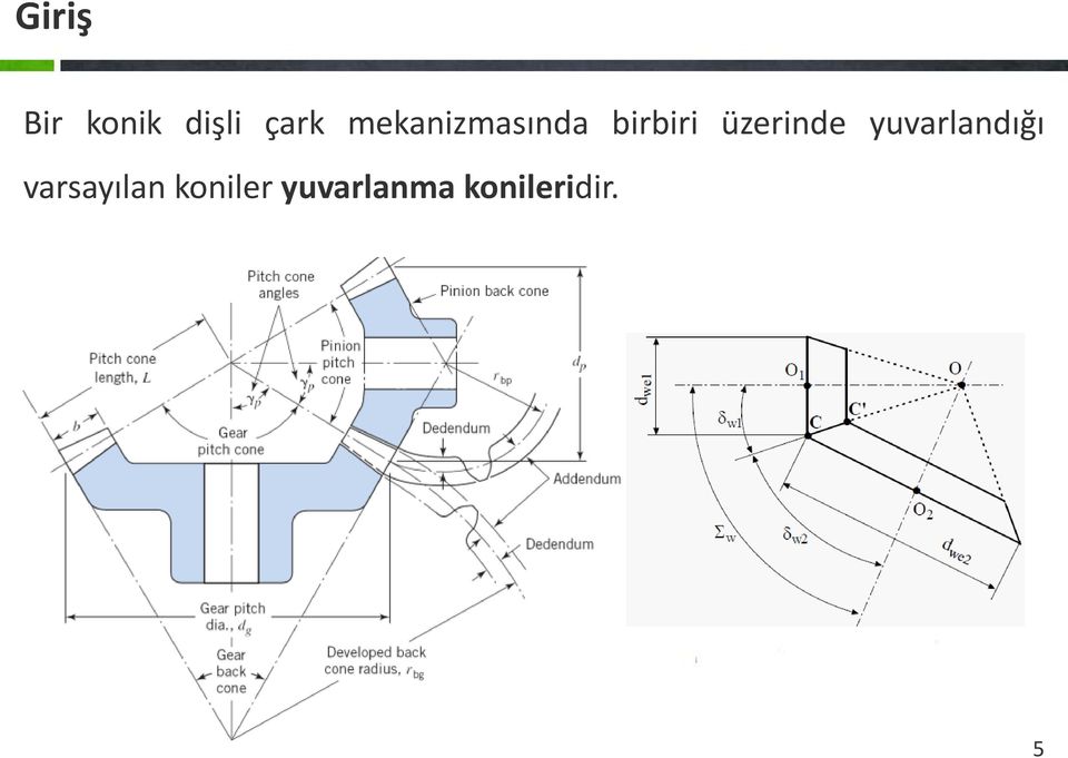 üzerinde yuvarlandığı