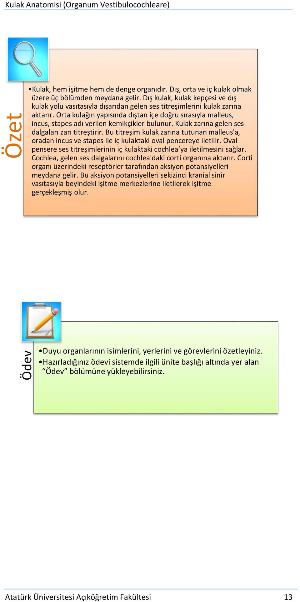 Orta kulağın yapısında dıştan içe doğru sırasıyla malleus, incus, stapes adı verilen kemikçikler bulunur. Kulak zarına gelen ses dalgaları zarı titreştirir.