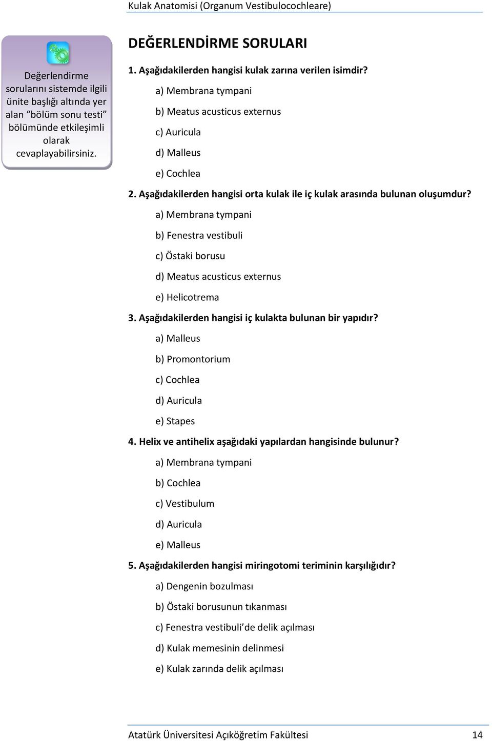 Aşağıdakilerden hangisi orta kulak ile iç kulak arasında bulunan oluşumdur? a) Membrana tympani b) Fenestra vestibuli c) Östaki borusu d) Meatus acusticus externus e) Helicotrema 3.