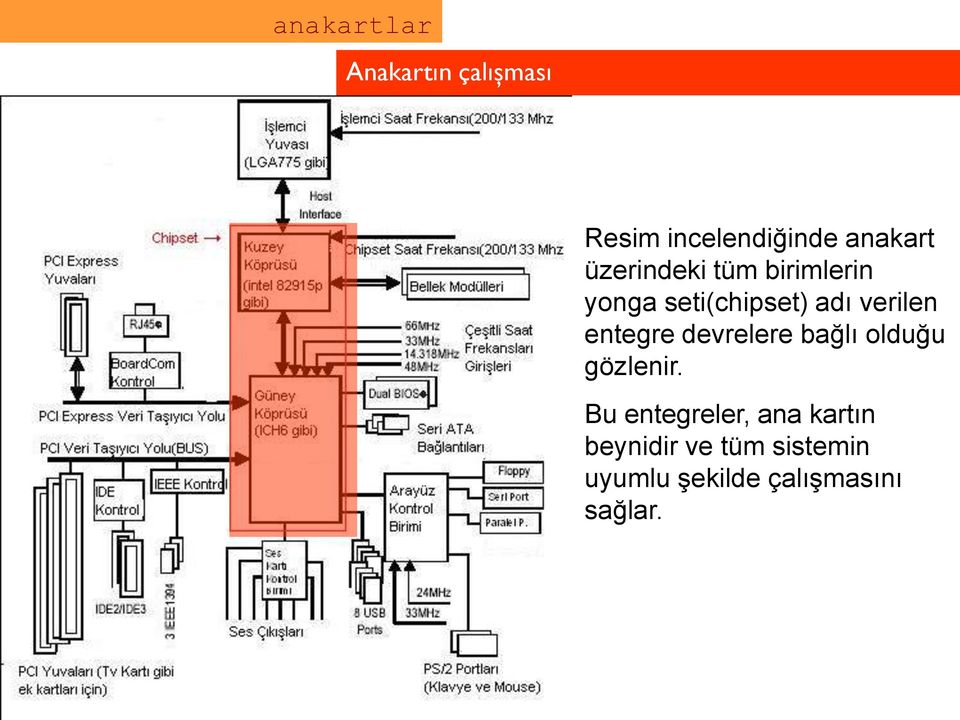 entegre devrelere bağlı olduğu gözlenir.