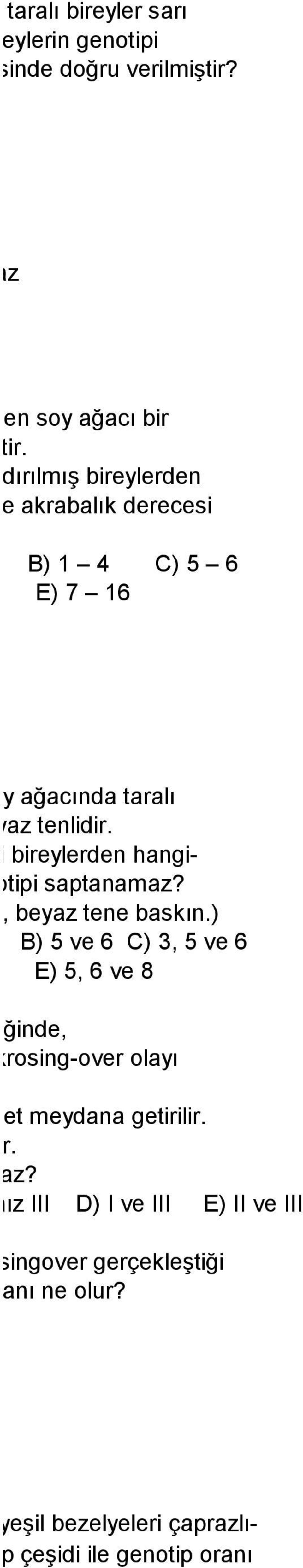 Esmer tenli bireylerden hangilerinin genotipi saptanamaz? (Esmer ten, beyaz tene baskın.